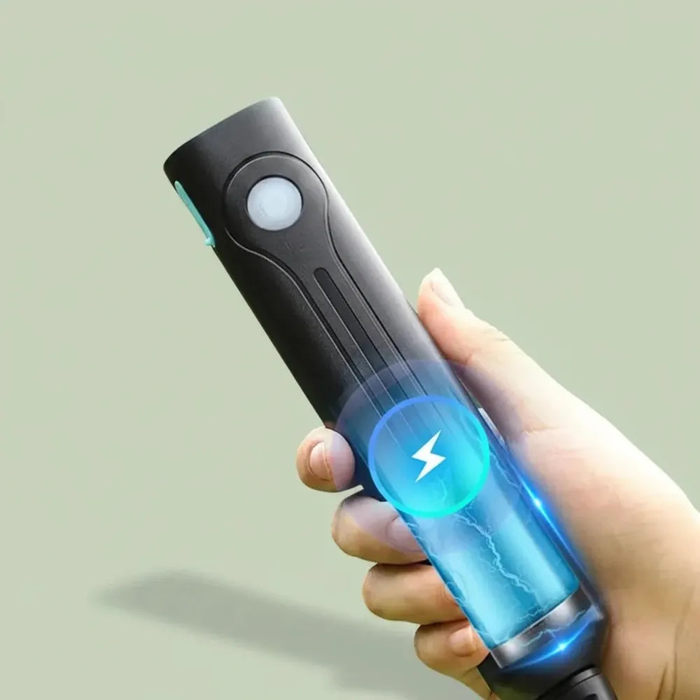 Pulvérisateur électrique de pesticides de petite taille 5/8L, pulvérisateur de pesticides haute pres